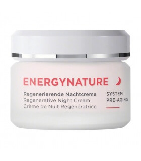 Crème de Nuit Régénératrice Energy Nature - Annemarie Borlïnd