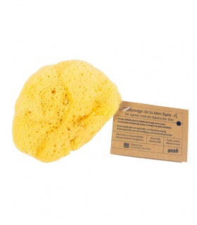 Eponge Naturelle de la Mer - Anaé
