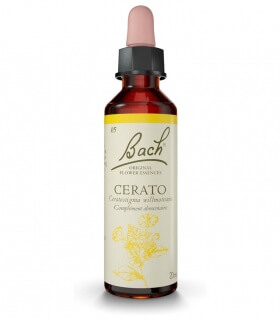 Fleurs de Bach N°5 - Cerato