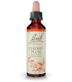 Fleurs de Bach N°6 - Cherry Plum