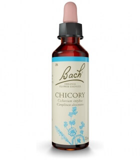 Fleurs de Bach N°8 - Chicory