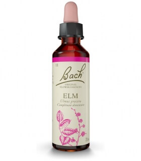 Fleurs de Bach N°11 - Elm
