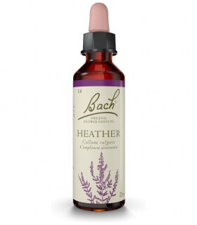 Fleurs de Bach N°14 - Heather