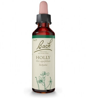 Fleurs de Bach N°15 - Holly