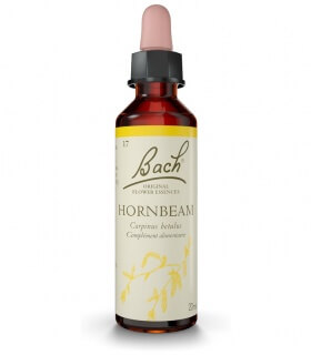 Fleurs de Bach N°17 - Hornbeam