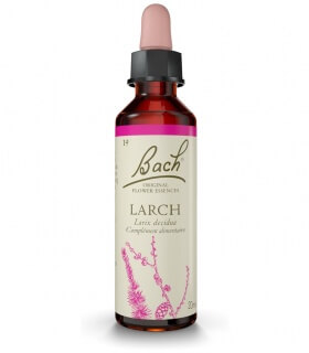 Fleurs de Bach N°19 - Larch