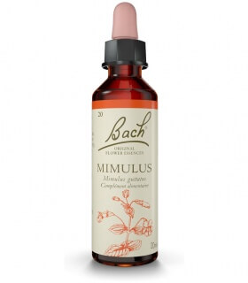 Fleurs de Bach N°20 - Mimulus