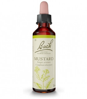 Fleurs de Bach N°21 - Mustard