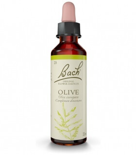 Fleurs de Bach N°23 - Olive