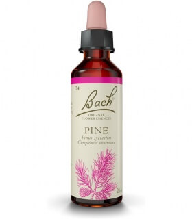 Fleurs de Bach N°24 - Pine