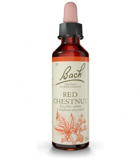 Fleur de Bach N°25 - Red Chestnut