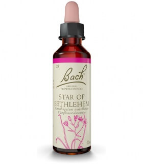 Fleur de Bach N°29 - Star of Bethlehem