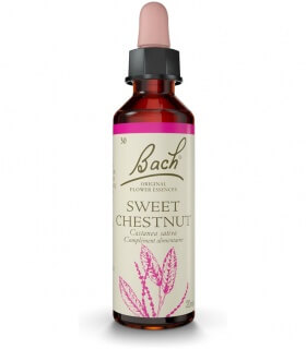 Fleurs de Bach N°30 - Sweet Chestnut