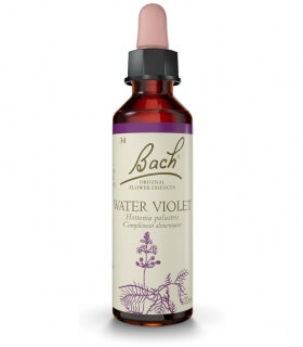 Fleurs de Bach N°34 - Water Violet