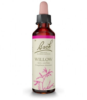Fleurs de Bach N°38 - Willow